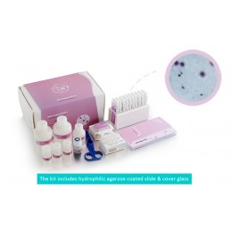 Sperm Processor DNA Fragmentation
